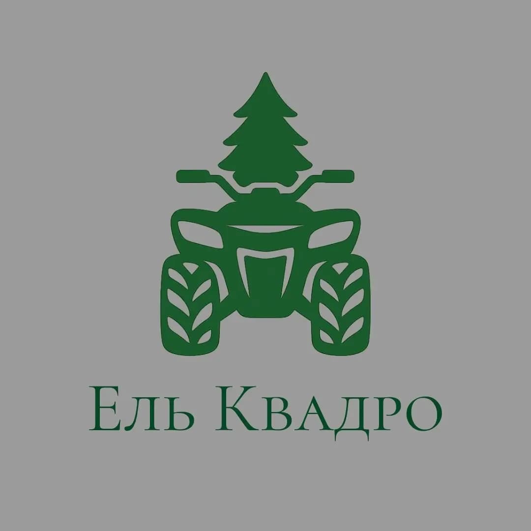 Ель Квадро — фото 2