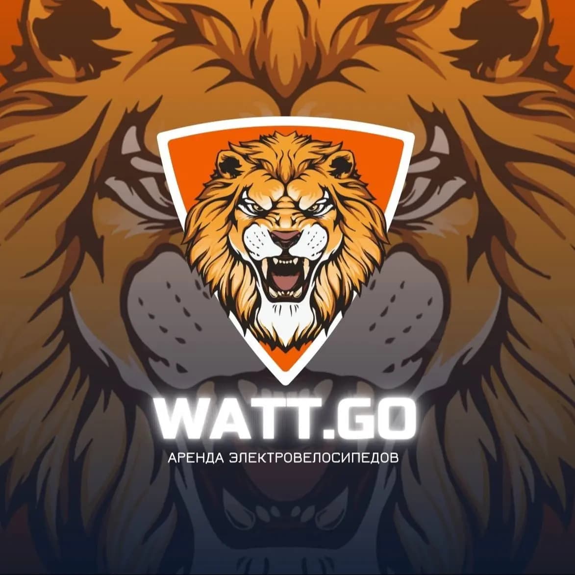 WattGo — фото 2